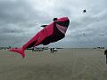 Fanø 2010 108